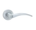 Photo of Gull - Lever on a rose - Satin chrome