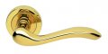 Photo of Apollo - Lever on a rose -  pol/brass