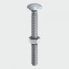 Photo of Cup square carriage bolts - Stainless